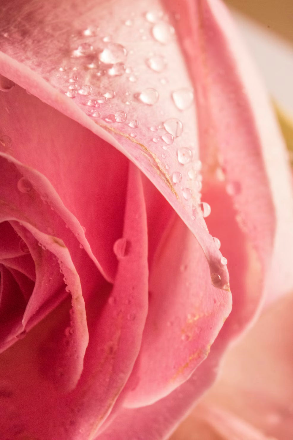 Crema Facial Secas y Sensibles